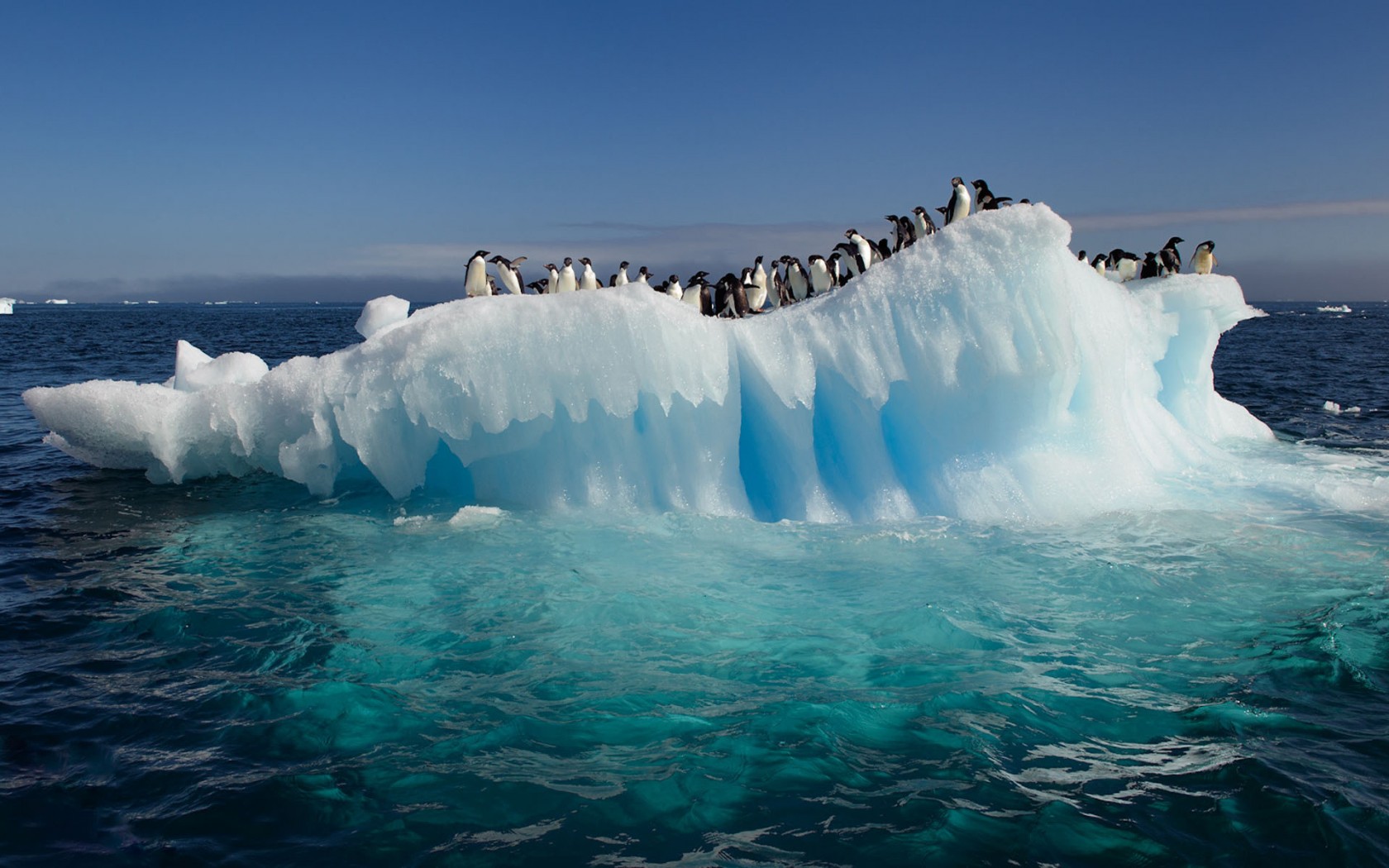 clima_pinguini